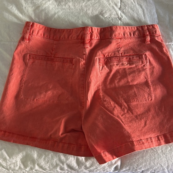 Anthropologie shorts - Sanctuary - Picture 2 of 3